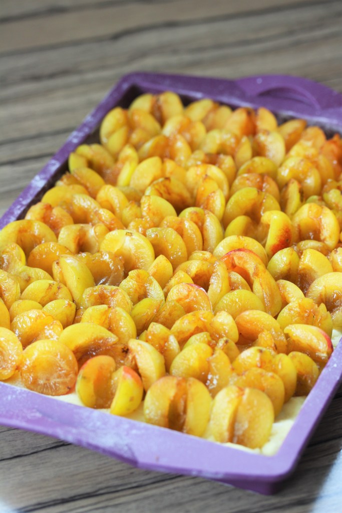 Mirabellenkuchen mit Quarkguss und Streuseln – Mamaglück & Kuchenzauber Mirabellenkuchen mit Quarkguss und Streuseln – Mamaglück & Kuchenzauber